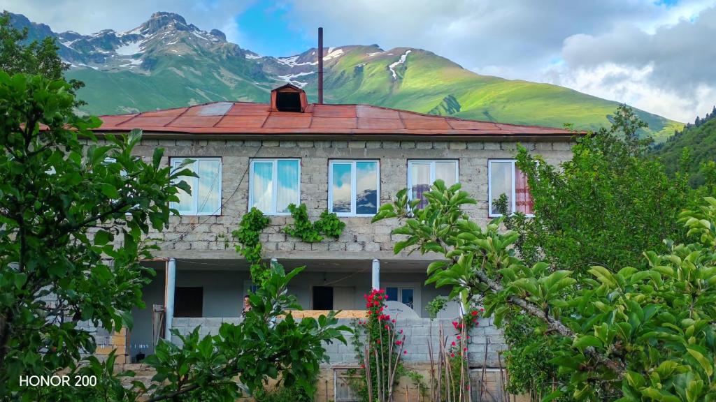a house with a mountain in the background at Gujejiani Guest house in Mestia