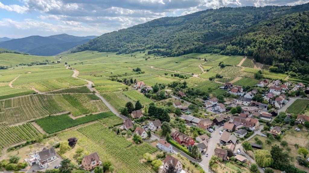 GEWURZTRAMINER - Studio au pied du vignoble - rénové récemment - parking gratuit – photo 27