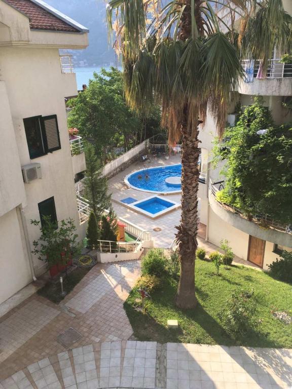 an overhead view of a swimming pool with a palm tree at Risinium sun in Risan