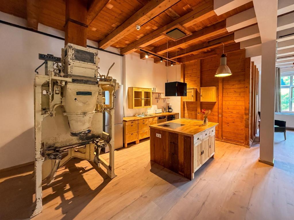 a kitchen with a large machine in a room at Wauermühle in Lohmen