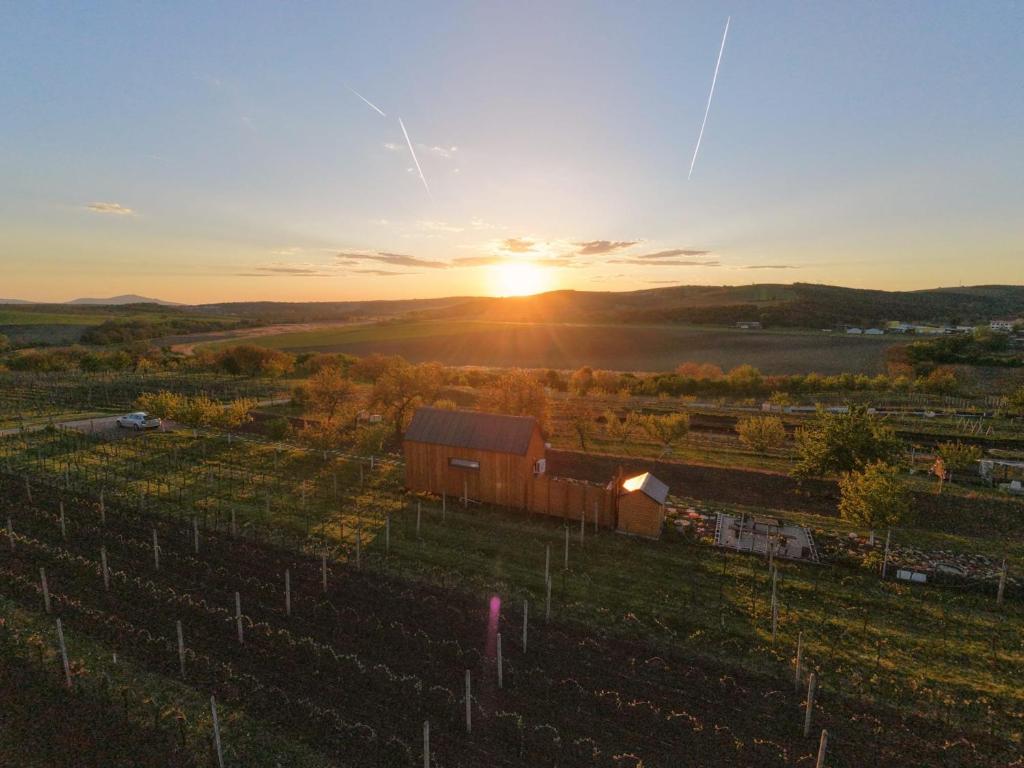 a sunset over a field with a fence and a barn at Tiny house Pálava in Bořetice