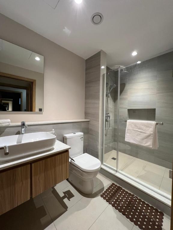 a bathroom with a shower and a toilet and a sink at Nice and calm place in Moka
