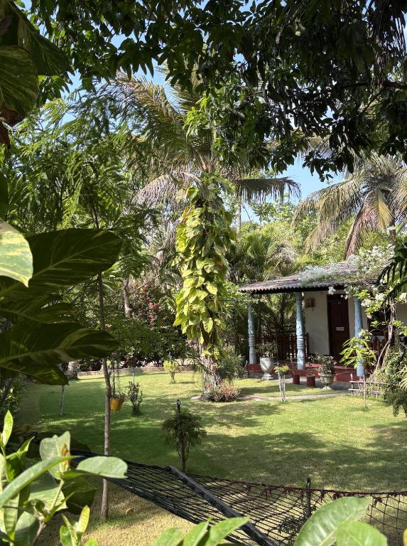 a house with a bunch of bananas hanging from a tree at Lobster Inn in Trincomalee