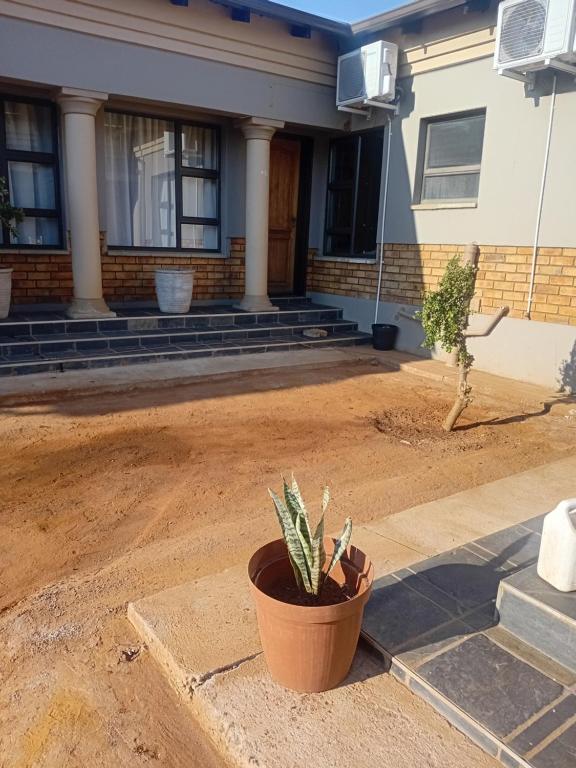 a potted plant sitting in front of a house at The Grand Village in Mahikeng