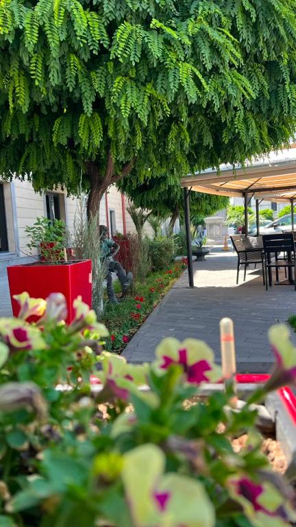 فضای داخلی Plaza Viktoria Hotel Yerevan در ایروان - تصویر ۳