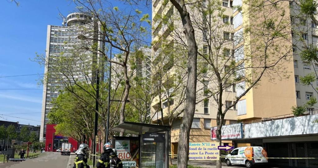 'Tropique' Studette Proche Tram Porte Jeune – photo 9