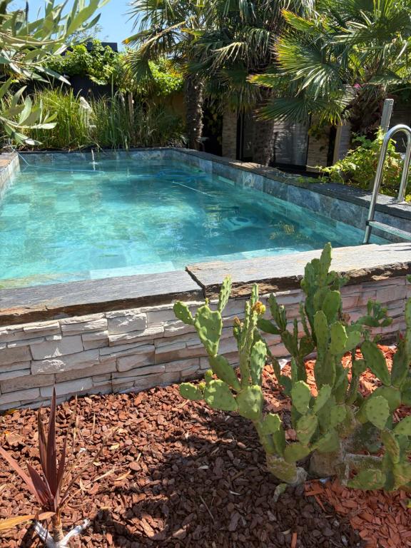a swimming pool in a garden with a cactus at Émeraude in Penmarch
