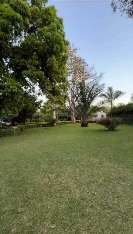 a large grass field with a tree in the background at Crystal Hostels in Livingstone