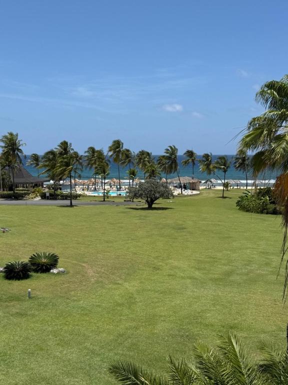 a park with palm trees and the ocean in the background at Saint Somewhere, Oceanside Caribbean Getaway in Abbeyville
