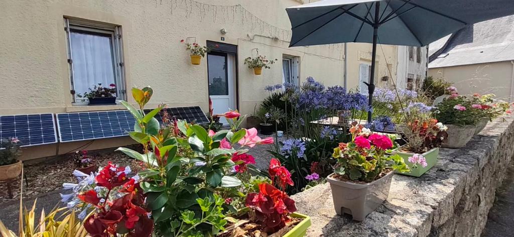 a garden with flowers in pots and an umbrella at Chez Merlyn in Locarn