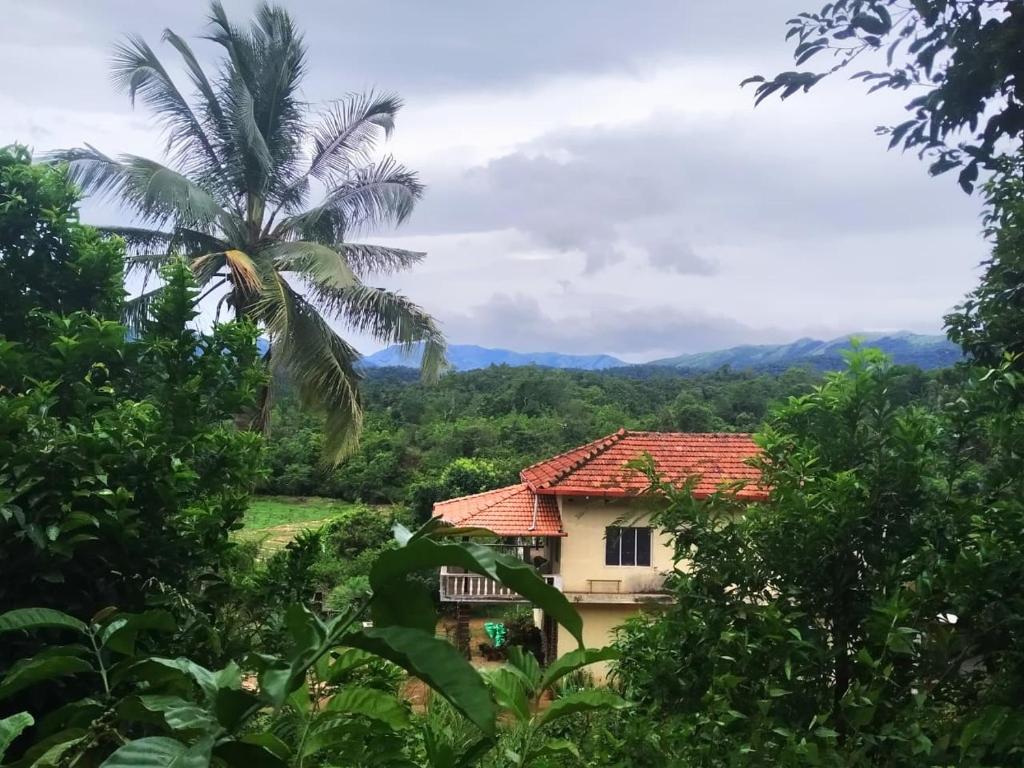 a house in the jungle with a palm tree at Mandagadde homestay sringeri in Sringeri