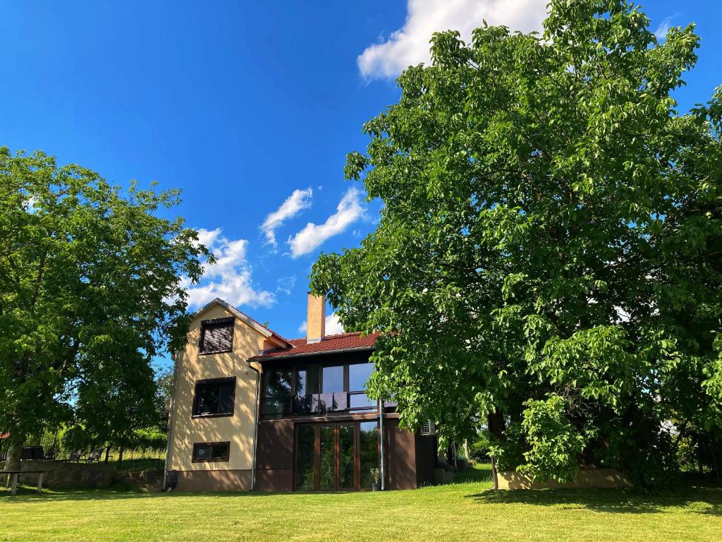a house in a field with a tree at Empyrean House in Dišnik