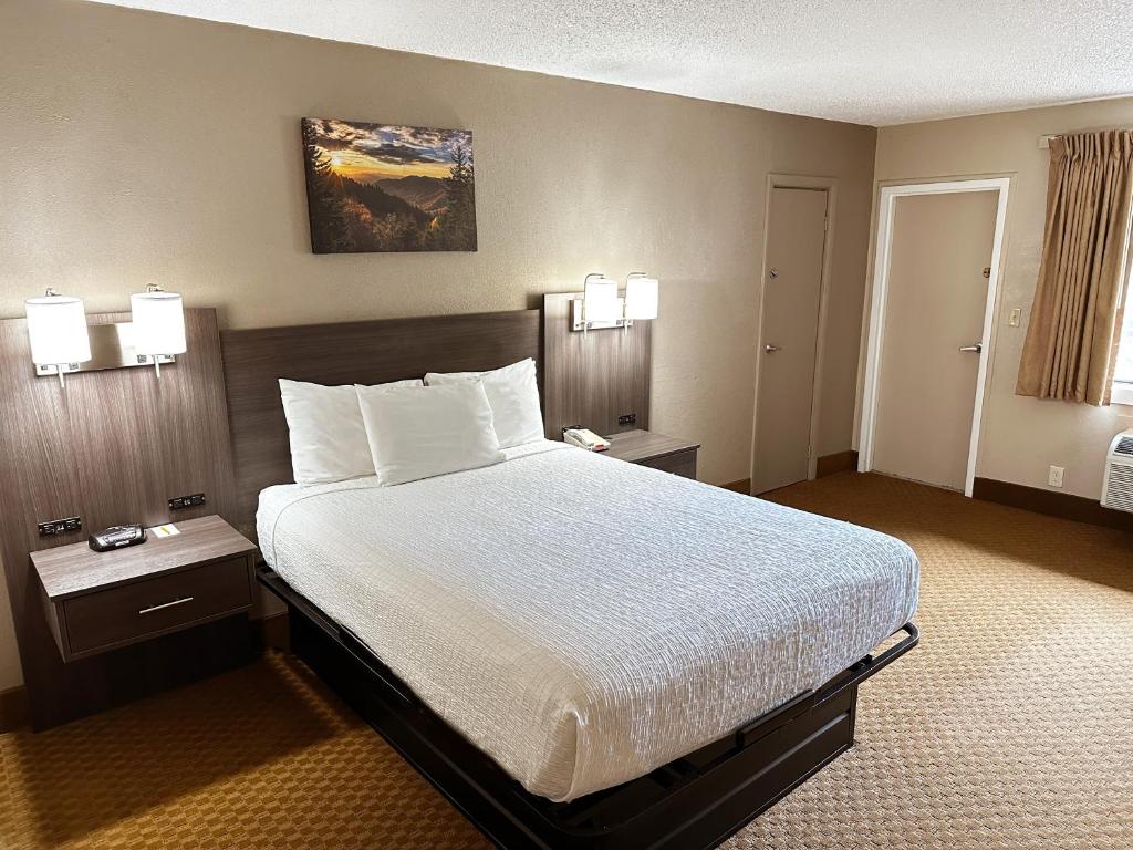 Sidney James Mountain Lodge - 