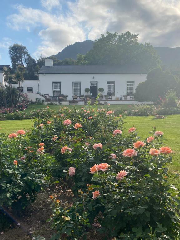 a white building with flowers in front of it at Rose Cottage De Hoop Farm PAARL SOUTH in Hartebeeskraal
