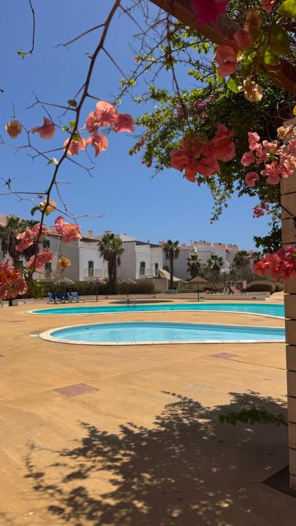 a swimming pool in a park with pink flowers at Aurora D Sal, Beach House in Santa Maria