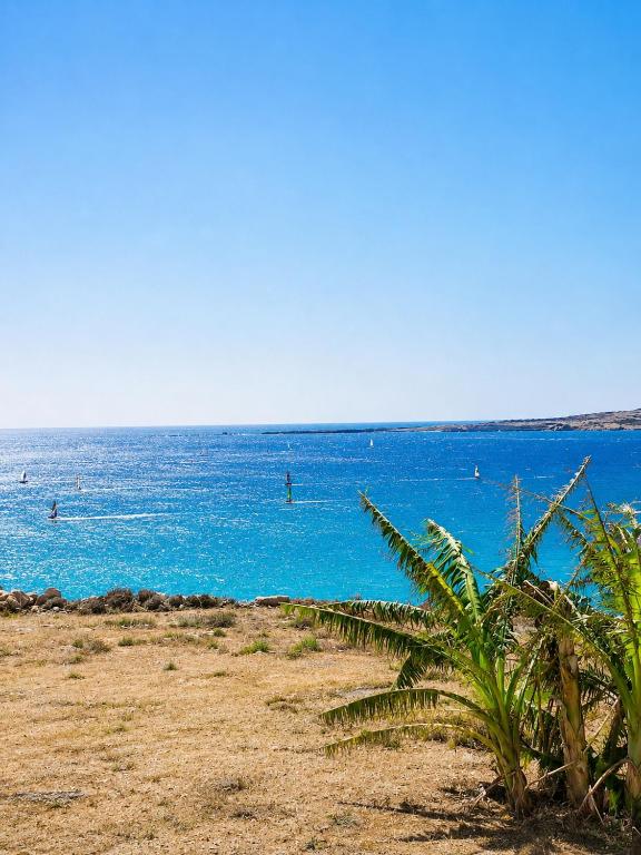 a beach with people swimming in the ocean at Prasonisi villas in Karpathos