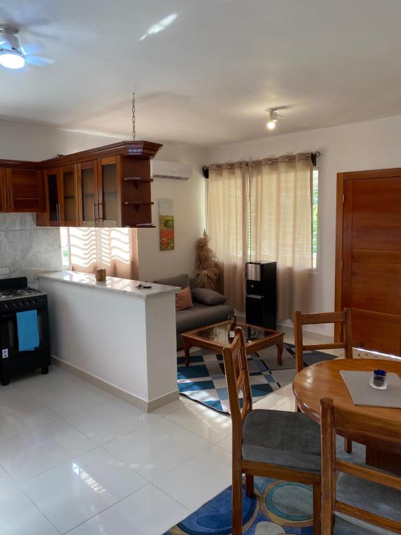 a kitchen and living room with a couch and a table at top apartments in Santo Domingo