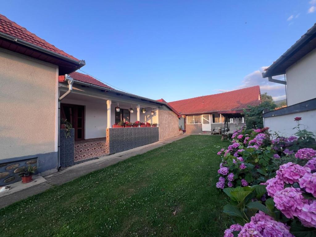 a yard with purple flowers next to a house at Casa Angela in Râu de Mori