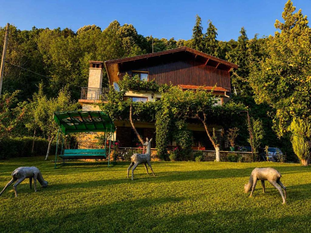 three deer grazing in the grass in front of a house at Сонита in Yamna