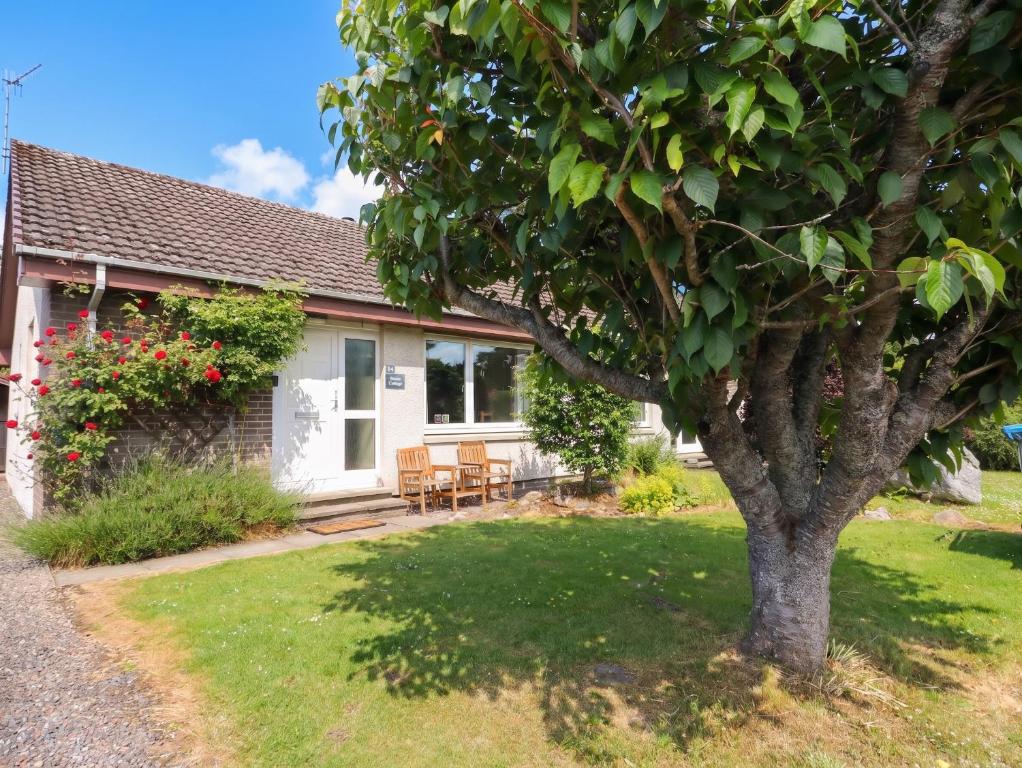a house with a tree in the yard at Steam Cottage in Aviemore