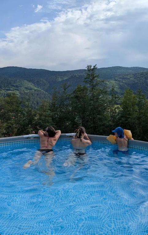 a group of people in a swimming pool at Vila Sekvoja in Nova Varoš