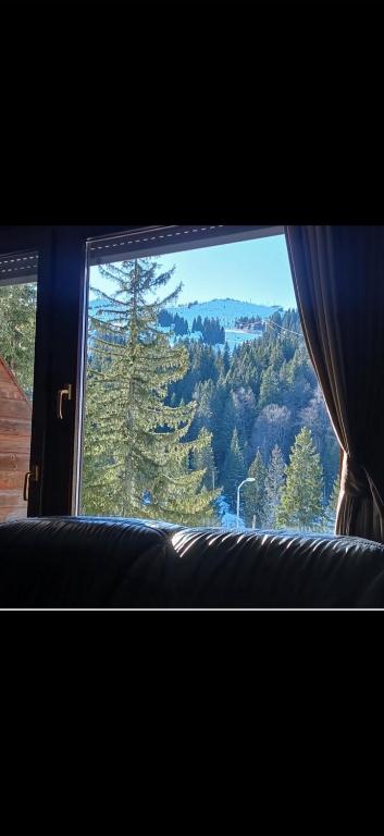 a window with a view of a mountain view at Jahorina Ski View Apartman in Jahorina
