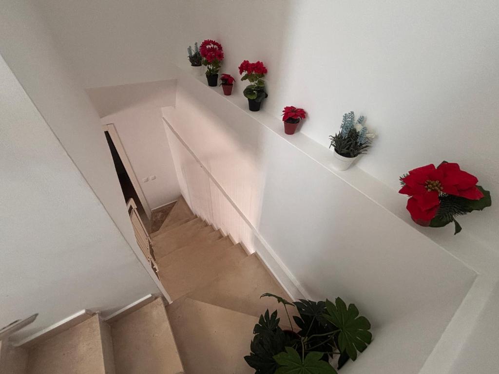 Little Home in the Heart of Olhão