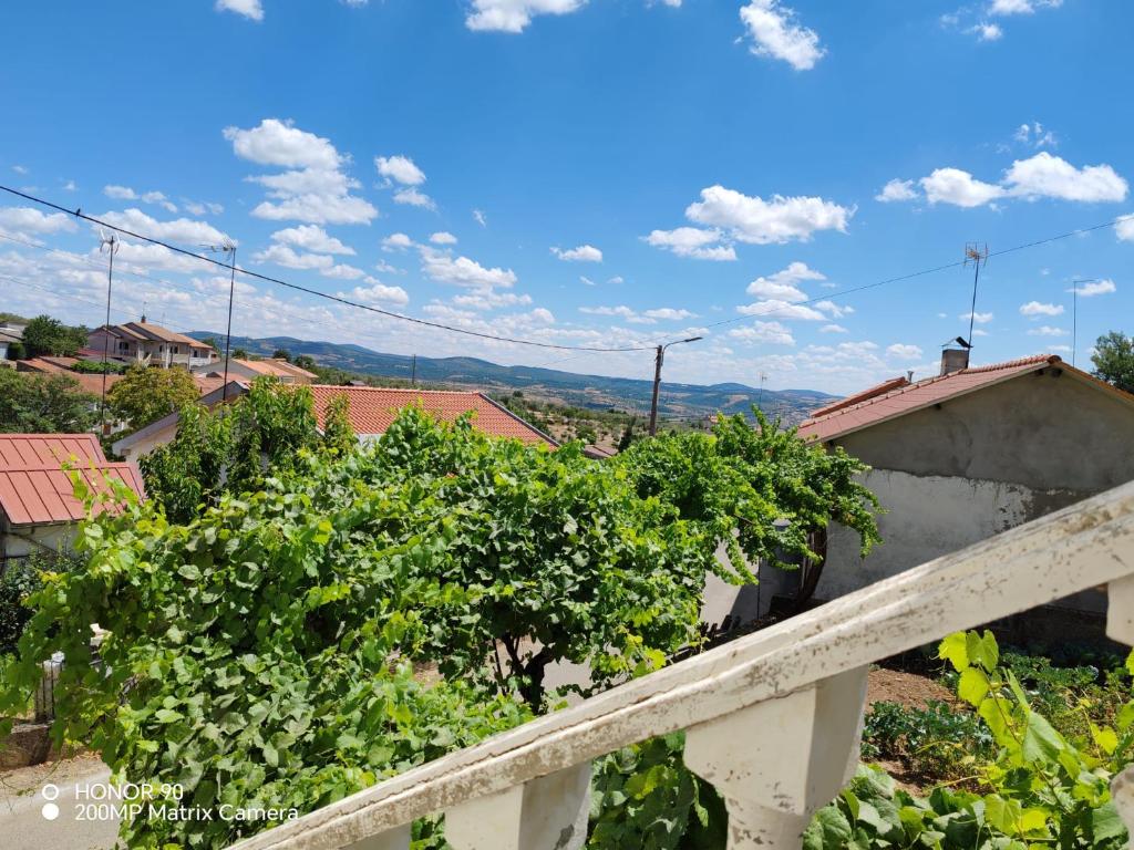 a view from the balcony of a house with vines at Villa Luisa Torres in Argozelo