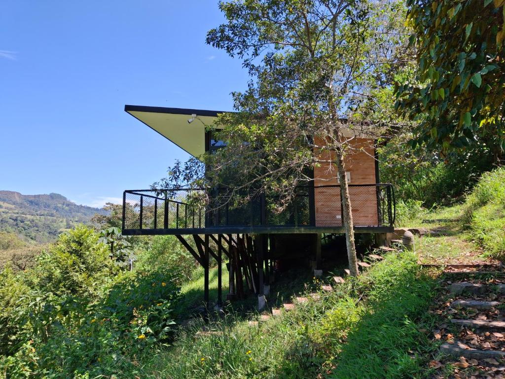 a tree house with a deck on a hill at Cabaña Guane in Pacho