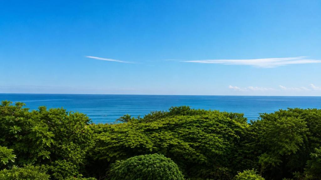 a group of trees with the ocean in the background at Horizon Hotel & Yoga Center in Santa Teresa Beach