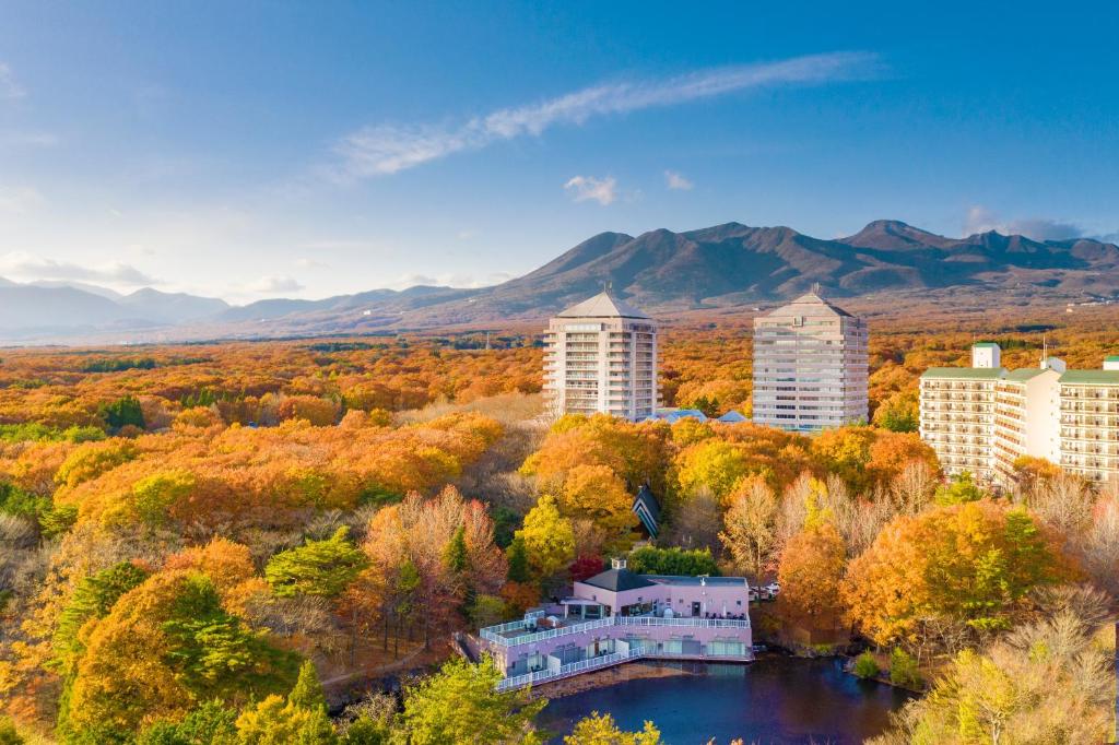 an aerial view of a city with trees and buildings at Hotel Epinard Nasu in Nasu