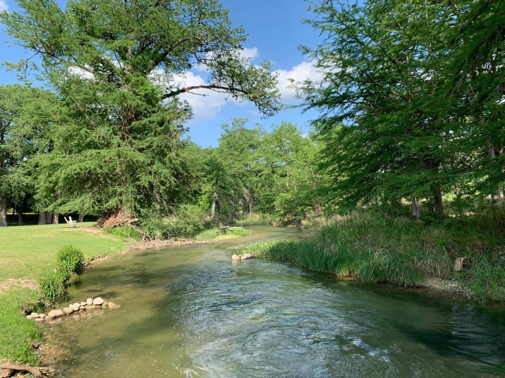 a river with some animals in the water at River Run Bo's Place in Kerrville