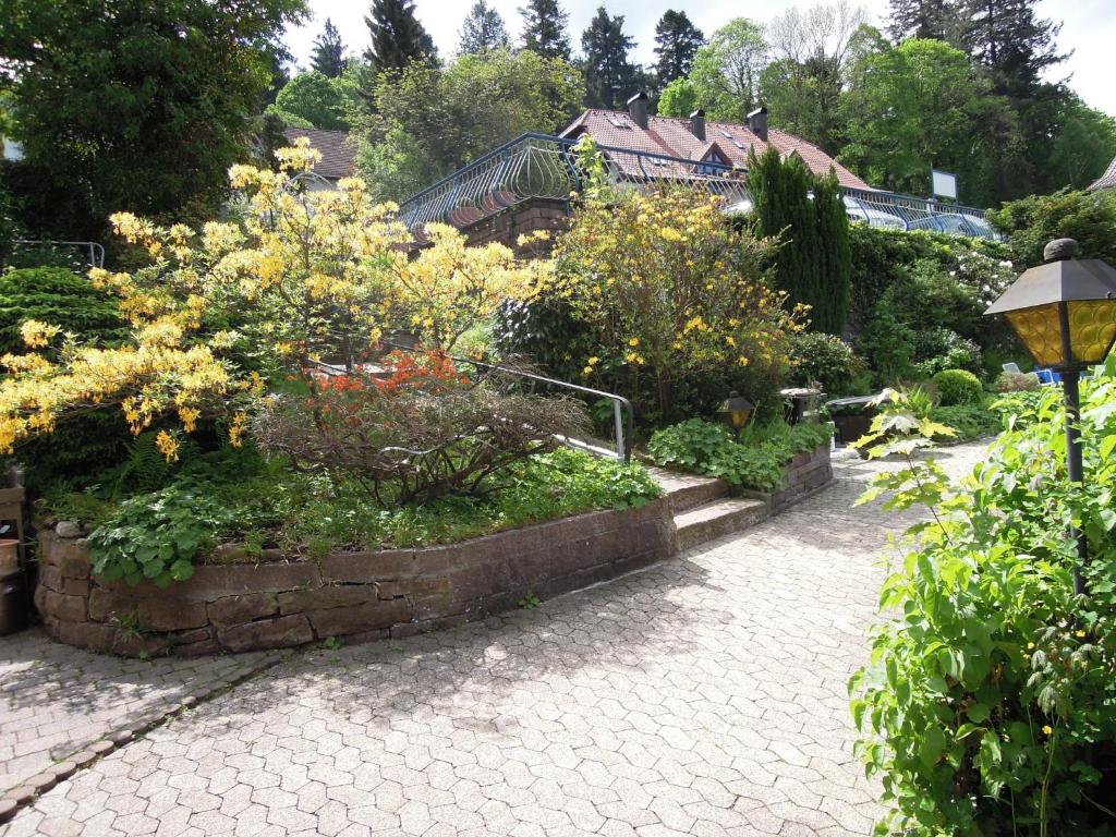 Zahrada ubytování Hotel Fidelitas