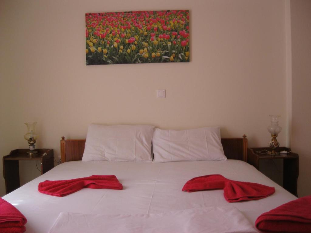 Meletis Studios - 14