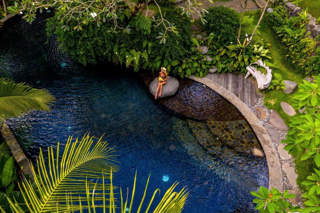 an aerial view of a river with a bridge at Stone House in Ubud