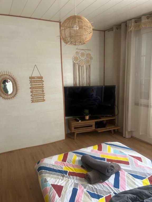 a bedroom with a bed and a flat screen tv at Le Cocoon - 2mn gare SNCF, hyper centre, WIFI-NETFLIX in Niort