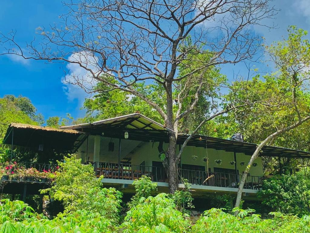 a green building with a tree in the foreground at Cottage Wild Boar in Udawalawe