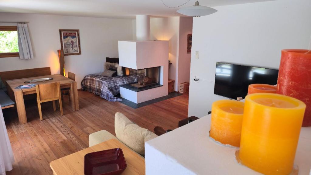a living room with a living room with a fireplace at Splendida e soliva dimora con giardino in La Punt-Chamues-ch