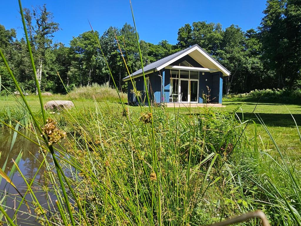 a small blue house in the middle of a field at Väänavilla Romantic Getaway in Vääna-Jõesuu