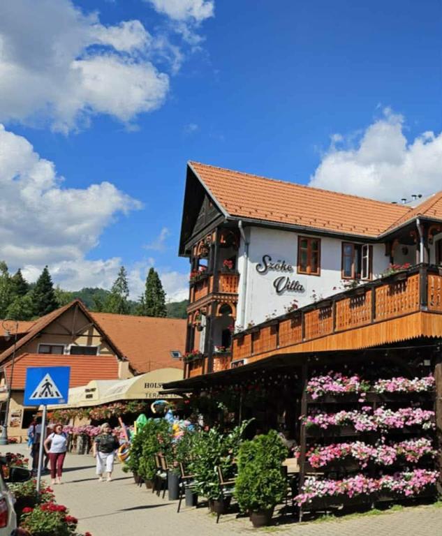 a building with a bunch of flowers in front of it at VILA SZOKE SOVATA in Sovata