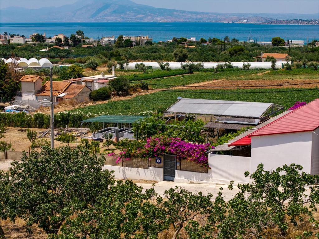 an aerial view of a small town with flowers at Garden Room with Private Patio Salamis in Eantio
