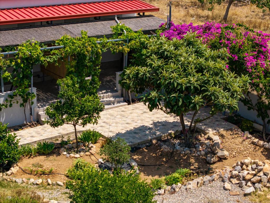 ein Garten mit Bäumen und Blumen vor einem Haus in der Unterkunft Garden Room by the Vineyard Salamis in Aiándion