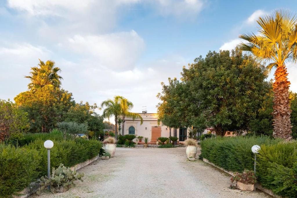 a driveway leading to a house with palm trees at B&B Le Carrube in Sava