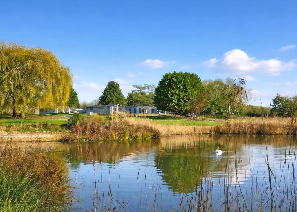 a swan swimming in a pond in a park at Faringdon Grange in Faringdon