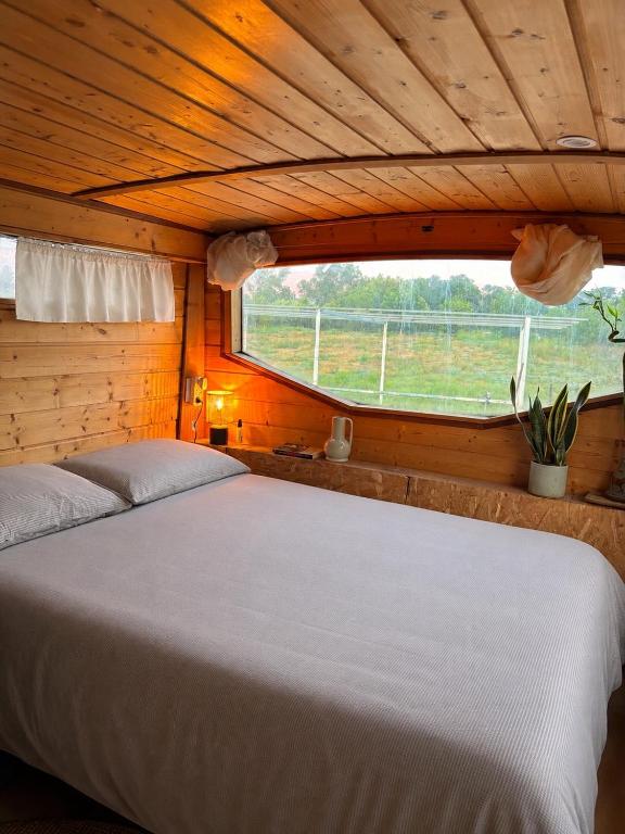 a bed in a room with a large window at Green Bus in Beit Hillel