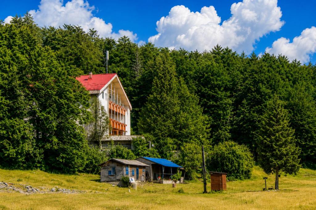 an old house on the side of a hill with trees at Great Mountain B&B Platak in Platak
