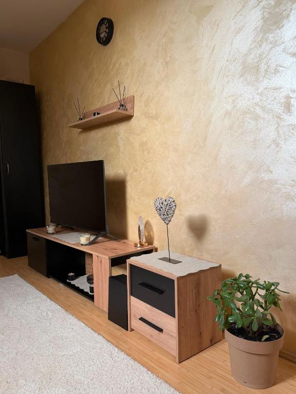 a living room with a tv and a wooden entertainment center at Nebeski kutak in Valjevo