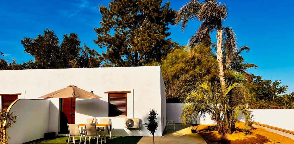 a white house with a palm tree and chairs at Golondrinas Verdes in Huelva