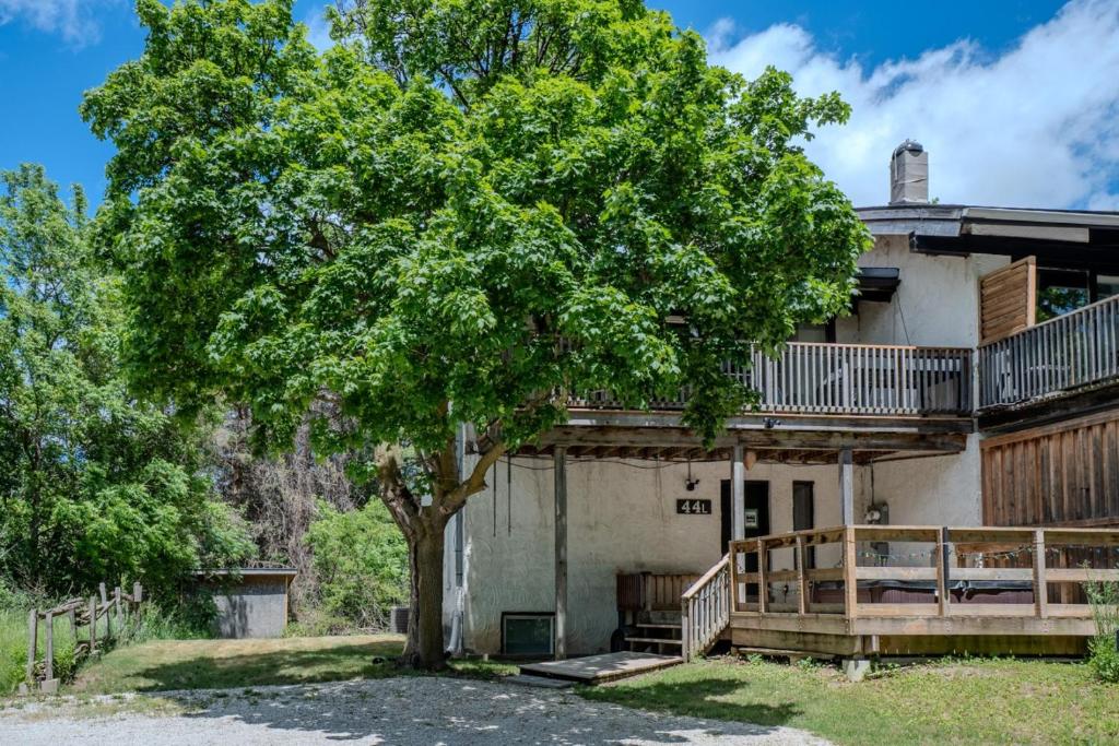 an old house with a tree in front of it at Blue View Chalets in Blue Mountains