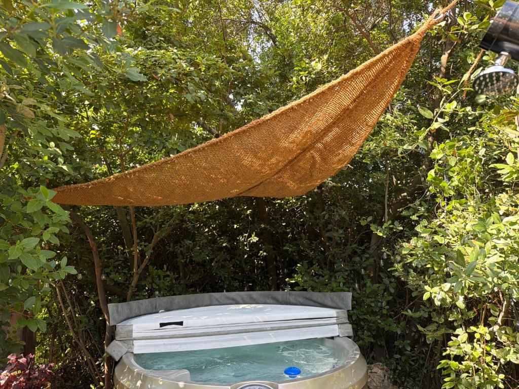 a hammock is hanging over a swimming pool at Cabanon in Sanary-sur-Mer